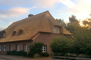 Ferienhaus Ness in Schwartbuck